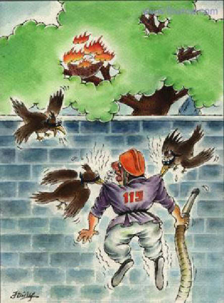 feu d foret-humourenvrac